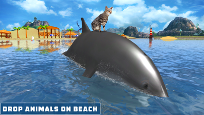 Dolphin Transport Game Screenshot