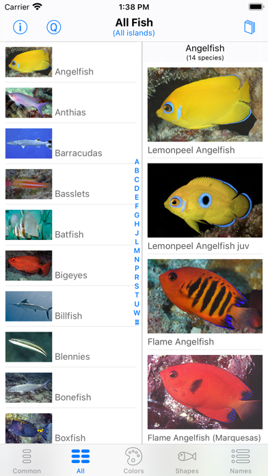 Tahiti Fish ID Screenshot