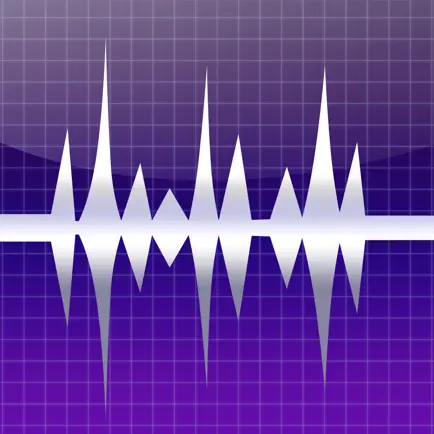 WavePad音声編集ソフト Читы