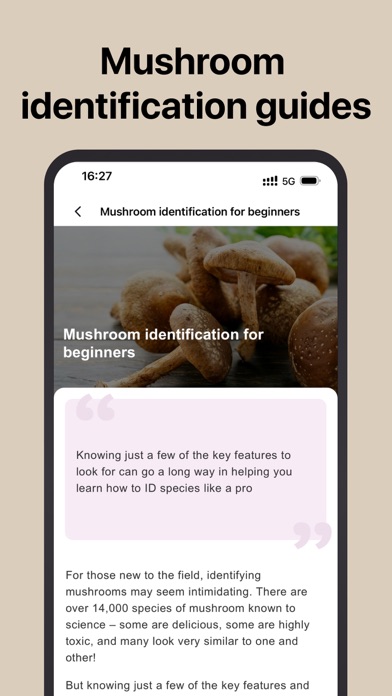 Picture Mushroom: Fungi finder Screenshot