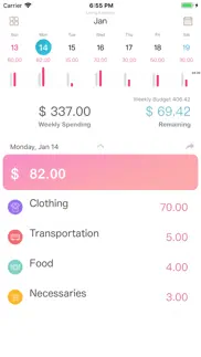 wesave - budget, money tracker iphone screenshot 3