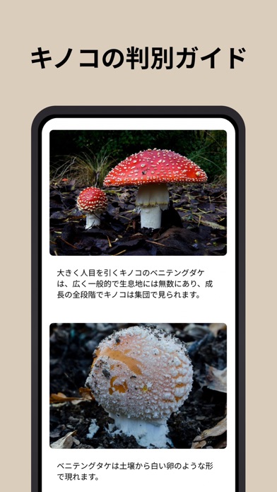 Picture Mushroom - 1秒キノコ図鑑スクリーンショット
