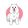 Maya Traveling Samoyed icon