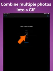 photo type converter ipad images 4