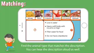 Animal Kingdom (Invertebrates) screenshot 4