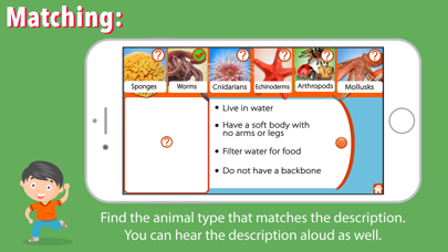 Animal Kingdom (Invertebrates) Screenshot