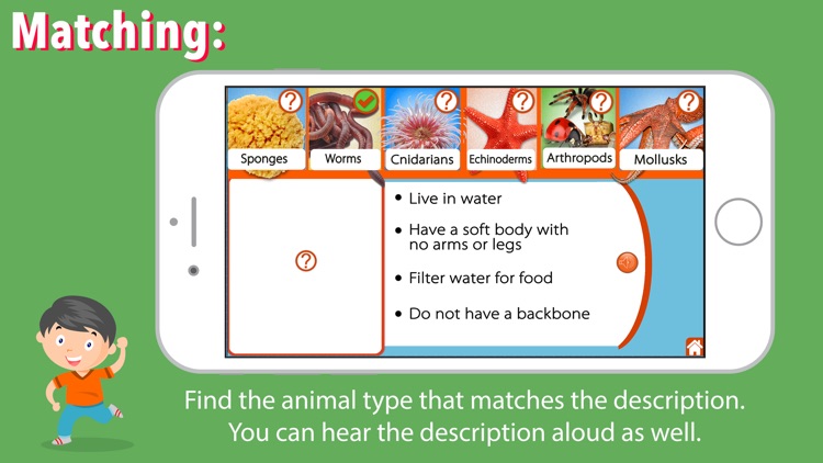 Animal Kingdom (Invertebrates) screenshot-3