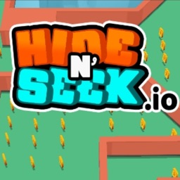 Hide and Seek IO -max