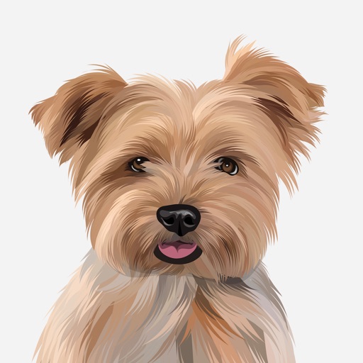 LisDog icon