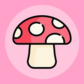 螢幕擷取畫面 (2) Mushroom Identifier