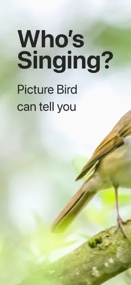 Game screenshot Picture Bird: Birds Identifier mod apk