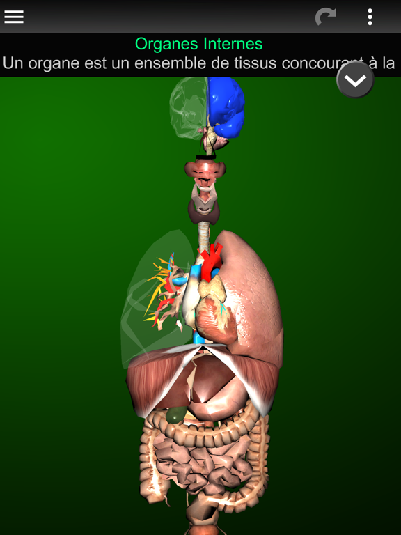 Screenshot #4 pour Organes 3D (Anatomie)