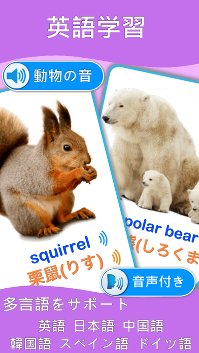 動物学習カード : 英語学習のおすすめ画像2