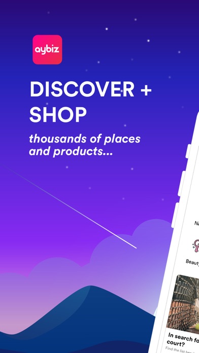 Aybiz Screenshot