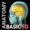 3D Human Anatomy Basic icon