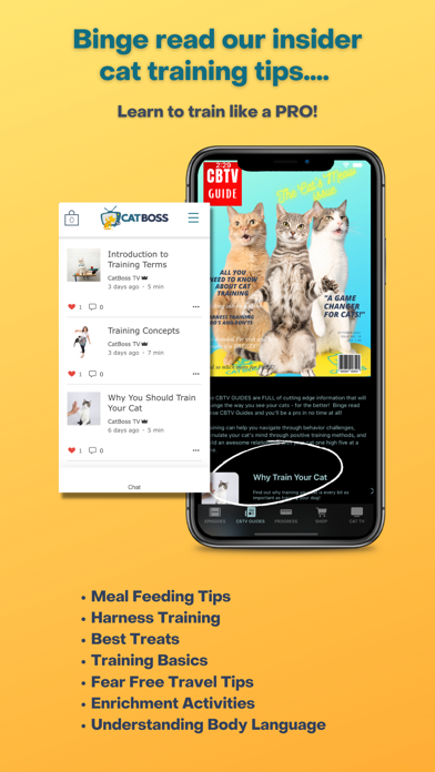 CatBoss TV Cat Training Screenshot