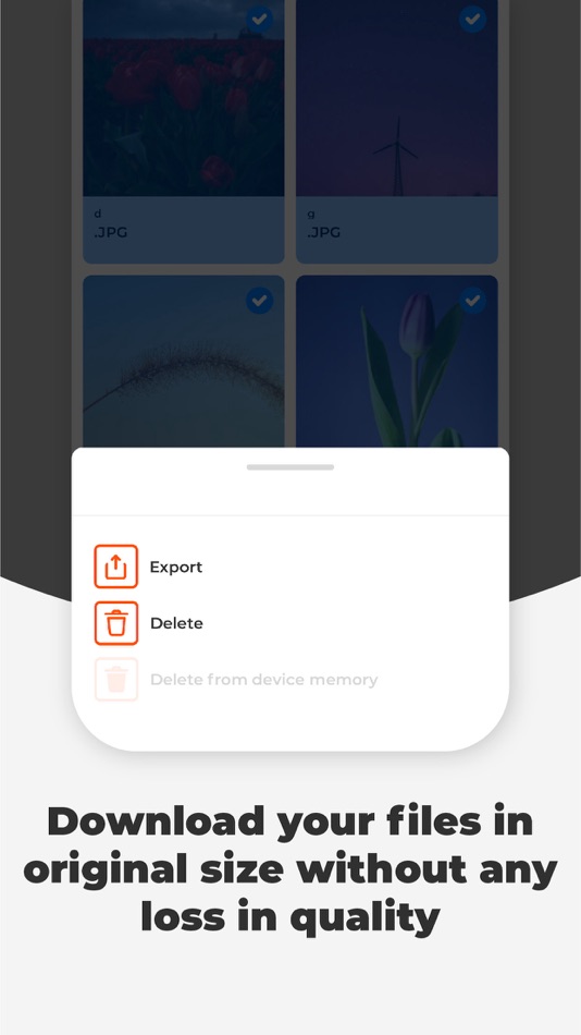 #5. e-File Transfer (iOS) By: isa diliballi