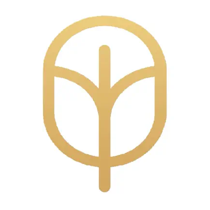 Plush Nail Boutique Cheats