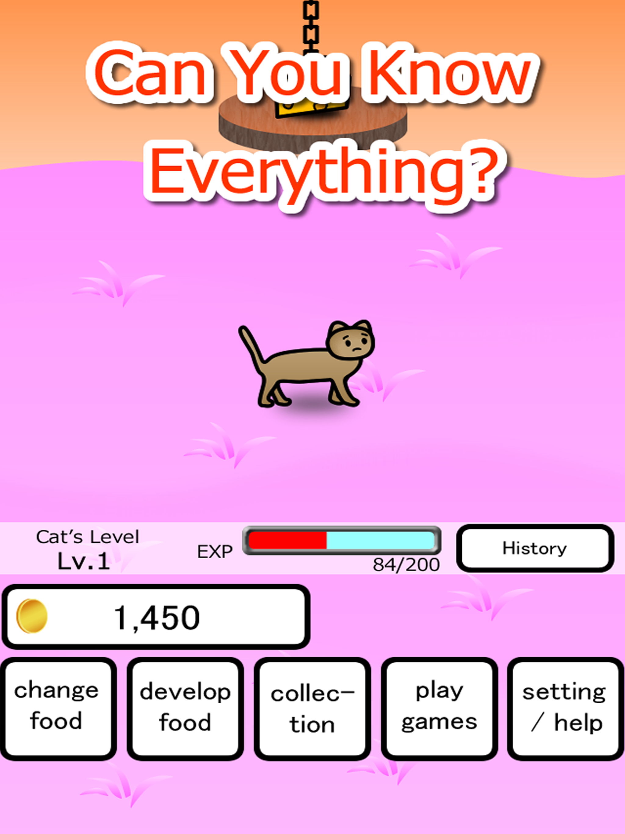 Cat Adventure