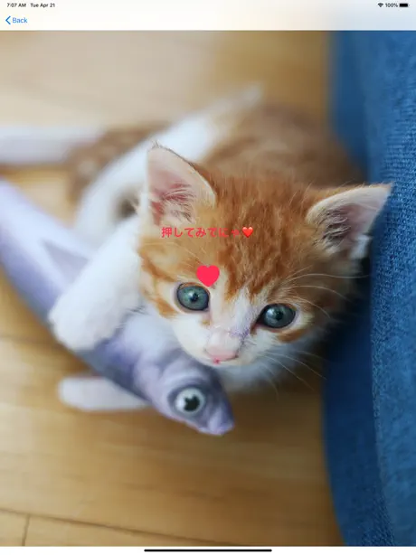 びっくりアプリ