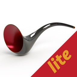 Hearing Aid lite