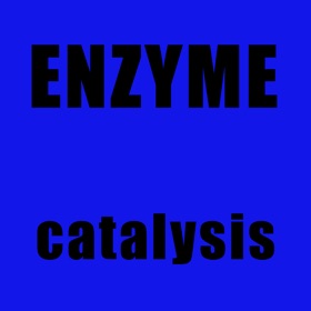 屏幕截图 (5) EnzymeQA