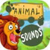 動物の音 - 推測ゲーム