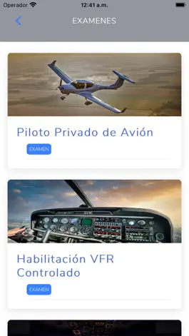 Game screenshot VFR-Inicial apk