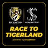 Race To Tigerland icon