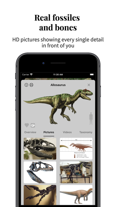 Dino Planet-3D地球上的霸王龙博物馆
