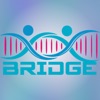 Jo Bridge icon