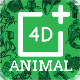 Animal 4D+