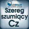 Szereg szumiący - Cz problems & troubleshooting and solutions