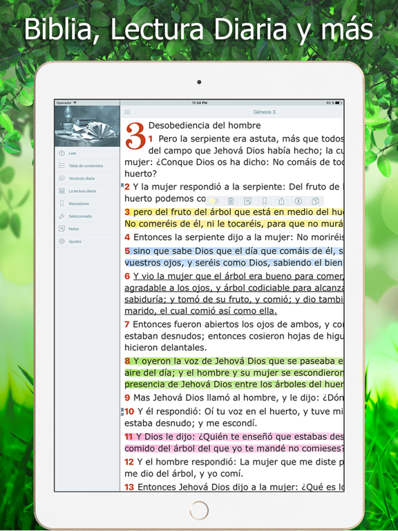 Screenshot #5 pour La Biblia Reina Valera Audio