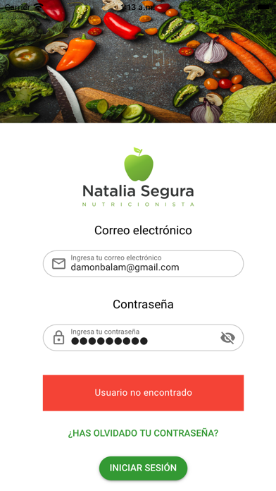 Nutricionista Natalia Segura Screenshot