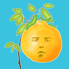 Screenshots (7) Tree of face fruit