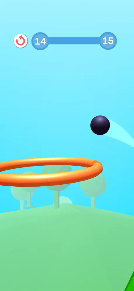 Flipper Run