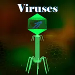 Learn Viruses App Contact