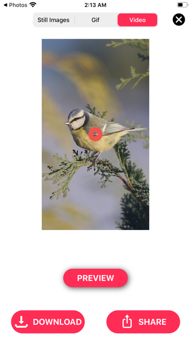 Live Photo Converter * Screenshot