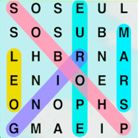Crossword  Word Match Puzzle