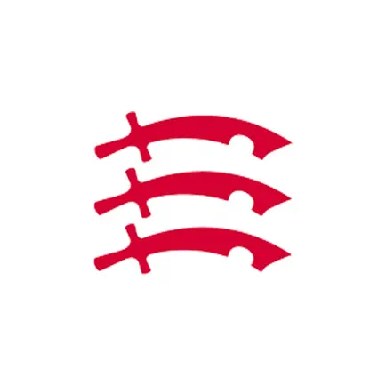 Essex Private Fostering Читы