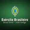 Exército Brasileiro problems & troubleshooting and solutions