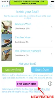 ibird photo sleuth problems & solutions and troubleshooting guide - 2