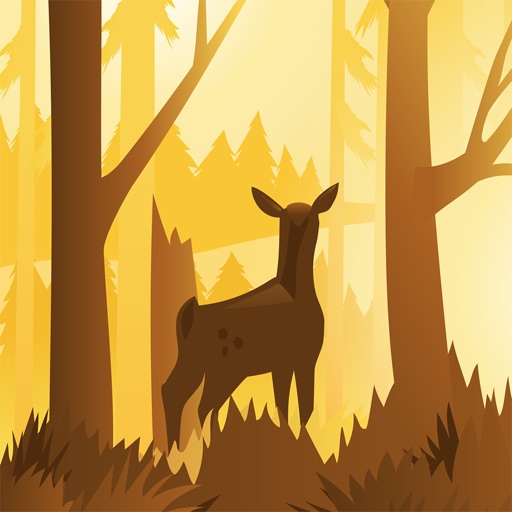 Wildfulness 2 - Nature Sounds iOS App