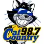 Cat Country 98.7