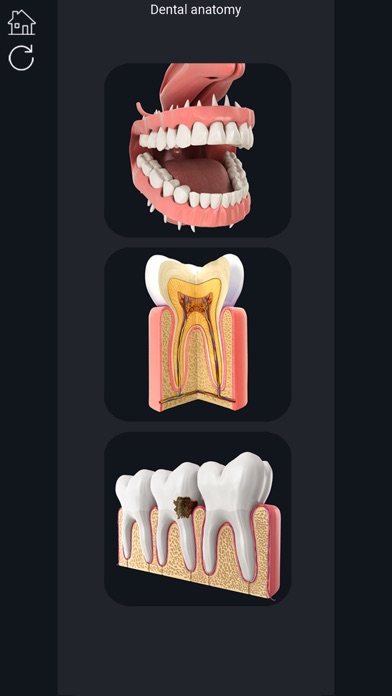 My Dental Anatomyのおすすめ画像1