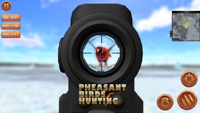 Pheasant Bird Hunting 18 Screenshot