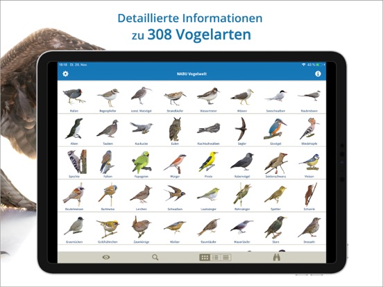Screenshot #6 pour NABU Vogelwelt