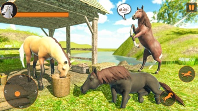 Wild Horse Family Simulator 3D Screenshot