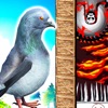 Pigeon Rescue - escape game icon